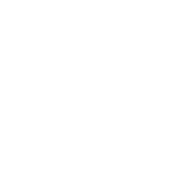 Seoul National University Logo